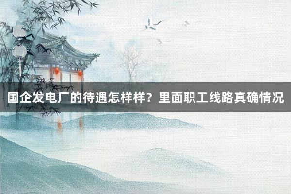 国企发电厂的待遇怎样样？里面职工线路真确情况